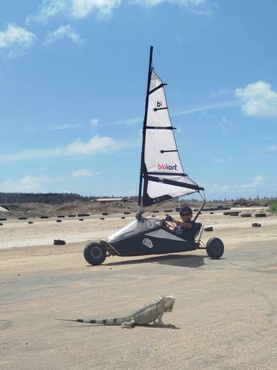Blokart photo