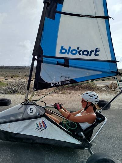 Blokart photo