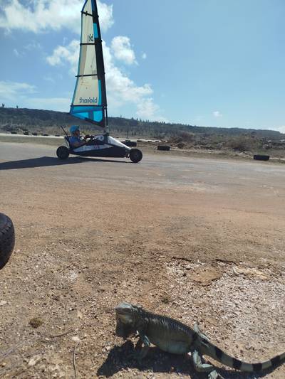 Blokart photo