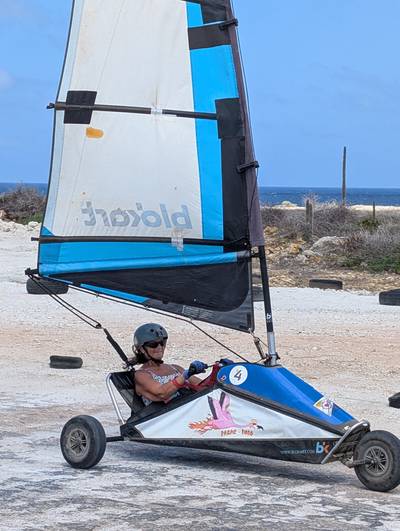 Blokart photo