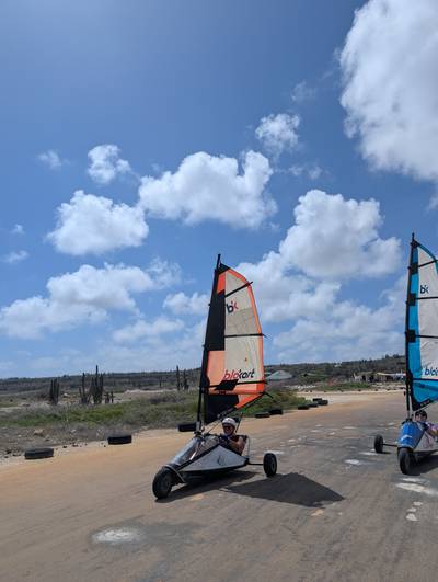 Blokart photo