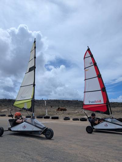 Blokart photo